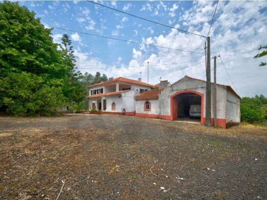 Maison de luxe à vendre à Caldas Da Rainha, 2 000 000 €, Photo 6