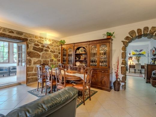 Maison de luxe à vendre à Resende, 980 000 €, Photo 6