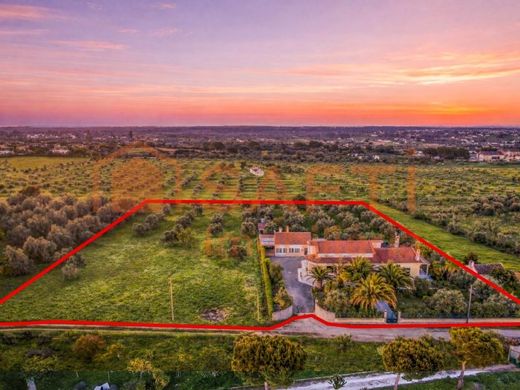 Maison de luxe à vendre à Cartaxo, 1 600 000 €, Photo 1