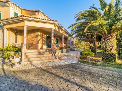 Maison de luxe à vendre à Cartaxo, 1 600 000 €, Photo 3