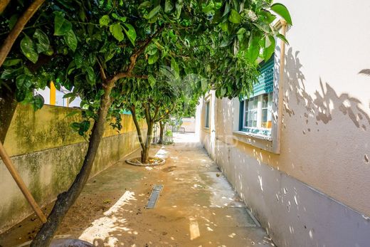 Maison de luxe à vendre à Golegã, 498 000 €, Photo 5