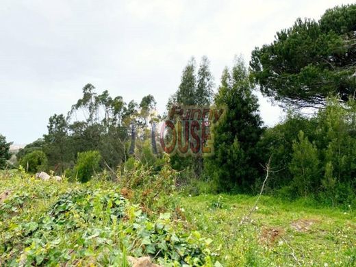 Maison de luxe à vendre à Sintra, 2 200 000 €, Photo 5