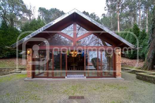 Maison de luxe à vendre à Oliveira de Azemeis, 5 500 000 €, Photo 5