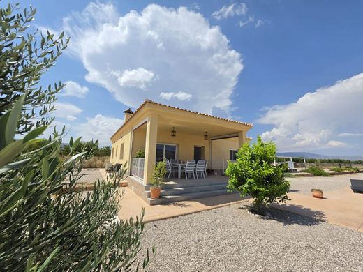 Maison de luxe à vendre à Pinoso, 423 995 €, Photo 4