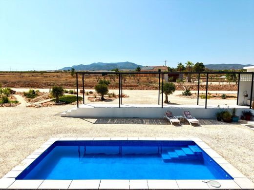 Maison de luxe à vendre à Pinoso, 679 000 €, Photo 6