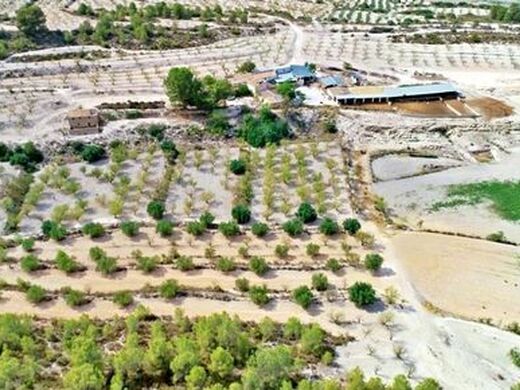 Maison de luxe à vendre à Moratalla, 1 300 000 €, Photo 2