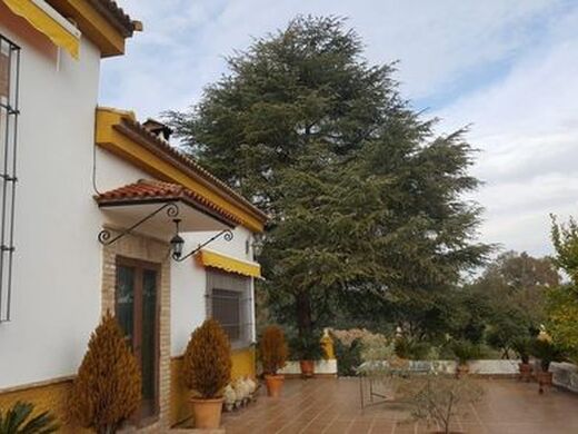 Luxury House for sale in Andújar, 430 000 €, Photo 5