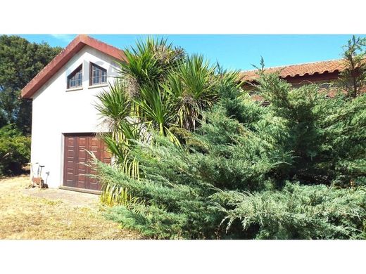 Maison de luxe à vendre à Bombarral, 495 000 €, Photo 3