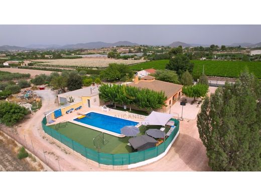 Maison de luxe à vendre à Novelda, 489 900 €, Photo 2