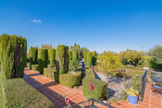Maison de luxe à vendre à Gójar, 624 900 €, Photo 3