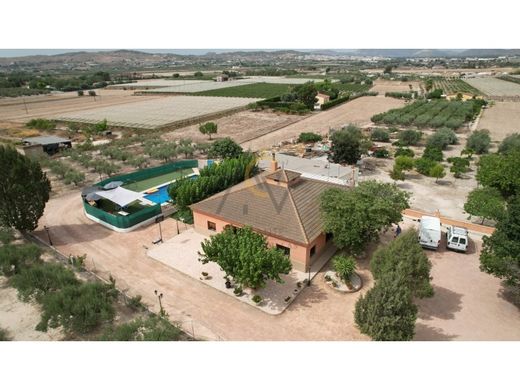 Maison de luxe à vendre à Novelda, 489 900 €, Photo 4