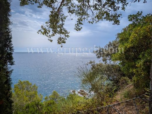 Maison de luxe à vendre à Lloret de Mar, 1 900 000 €, Photo 4