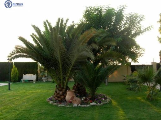 Maison de luxe à vendre à Petrel, 890 000 €, Photo 5