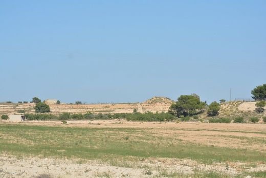 Maison de luxe à vendre à Murcia, 675 000 €, Photo 5