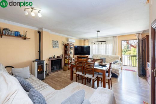 Maison de luxe à vendre à Peligros, 420 000 €, Photo 4