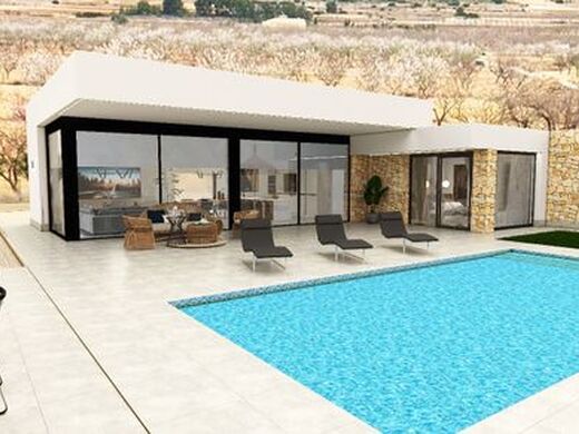 Maison de luxe à vendre à Pinoso, 570 000 €, Photo 2