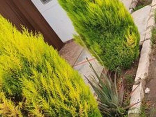Maison de luxe à vendre à Llíria, 1 200 000 €, Photo 3