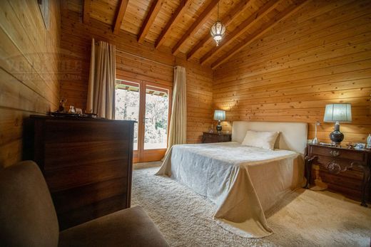Maison de luxe à vendre à Oliveira de Azemeis, 5 500 000 €, Photo 3