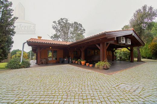 Maison de luxe à vendre à Oliveira de Azemeis, 5 500 000 €, Photo 5