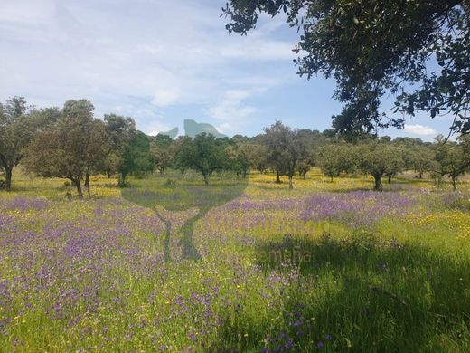 Luxury House for sale in Cáceres, 2 500 000 €, Photo 1