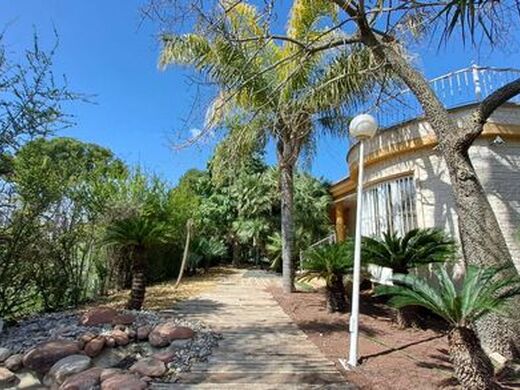 Maison de luxe à vendre à Murcia, 550 000 €, Photo 3