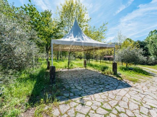 Maison de luxe à vendre à Covilhã, 850 000 €, Photo 6