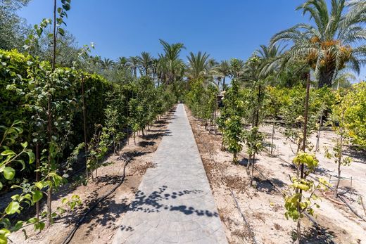 Maison de luxe à vendre à Elche, 519 000 €, Photo 6