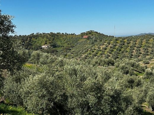 Luxury House for sale in Andújar, 2 500 000 €, Photo 4