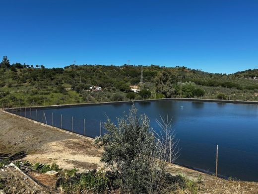 Luxury House for sale in Andújar, 2 500 000 €, Photo 6