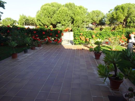 Maison de luxe à vendre à Mairena Del Alcor, 728 000 €, Photo 3