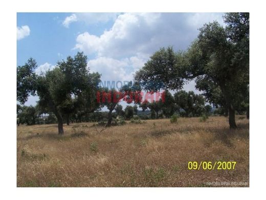 Maison de luxe à vendre à Alcántara, 1 100 000 €, Photo 6