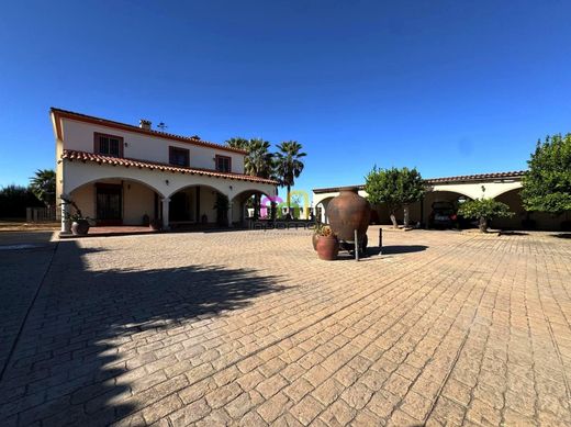 Maison de luxe à vendre à Badajoz, 800 000 €, Photo 2