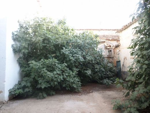 Maison de luxe à vendre à Tomelloso, 555 000 €, Photo 4