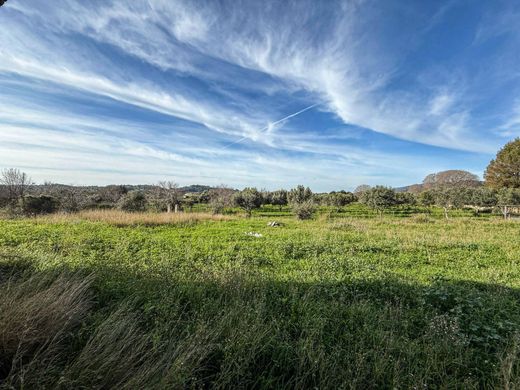 Maison de luxe à vendre à Selva, 680 000 €, Photo 6