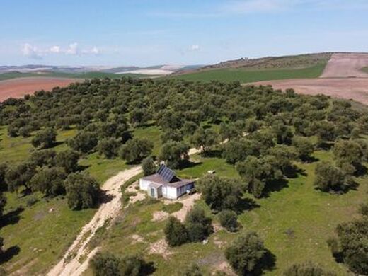 Maison de luxe à vendre à Prado Del Rey, 549 999 €, Photo 5