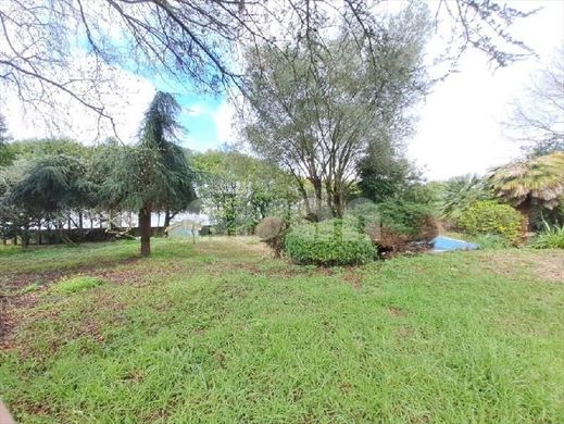 Luxury House for sale in Vigo, 590 000 €, Photo 3