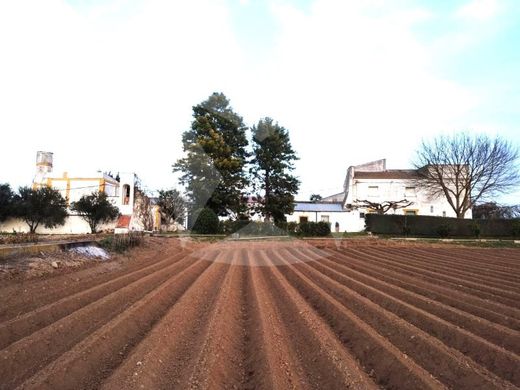 Maison de luxe à vendre à Badajoz, 630 000 €, Photo 3