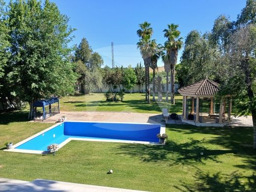 Maison de luxe à vendre à Badajoz, 1 280 000 €, Photo 3