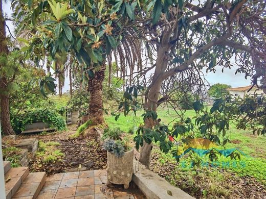 Maison de luxe à vendre à La Orotava, 550 000 €, Photo 4