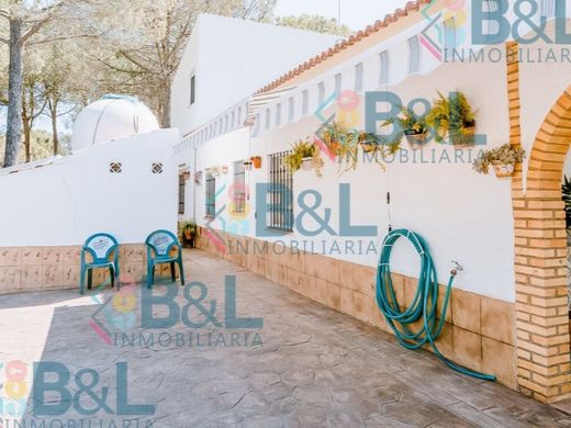 Maison de luxe à vendre à Valverde Del Camino, 430 000 €, Photo 7
