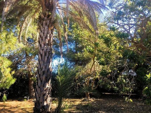 Maison de luxe à vendre à Els Poblets, 850 000 €, Photo 4