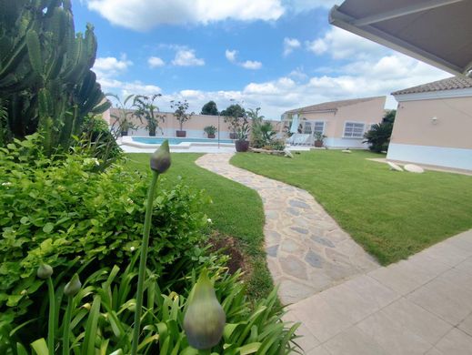 Maison de luxe à vendre à Murcia, 950 000 €, Photo 2