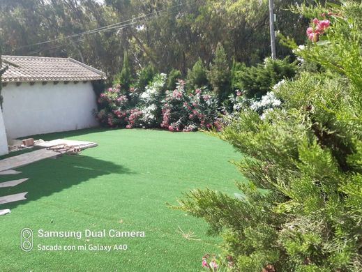 Maison de luxe à vendre à Playas de Orihuela, 549 000 €, Photo 2