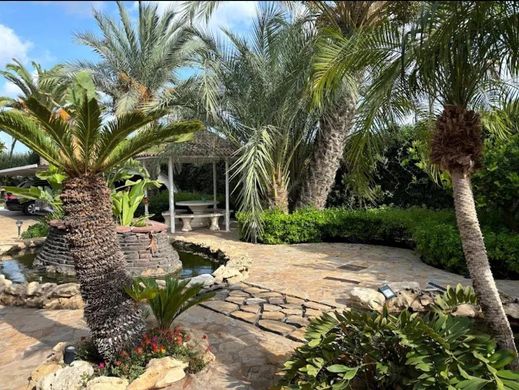 Maison de luxe à vendre à Elche, 649 900 €, Photo 2