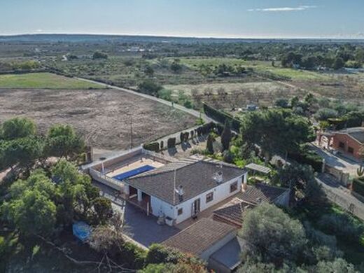 Maison de luxe à vendre à Elche, 435 000 €, Photo 3