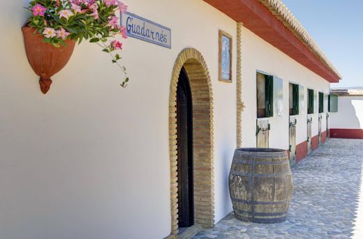 Maison de luxe à vendre à Pinos Puente, 1 000 000 €, Photo 6