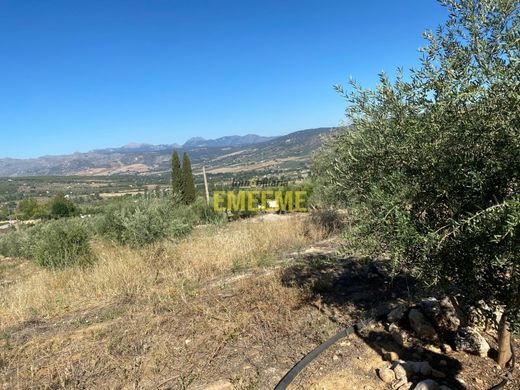 Maison de luxe à vendre à Ronda, 600 000 €, Photo 2