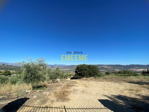 Maison de luxe à vendre à Ronda, 600 000 €, Photo 5