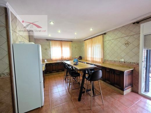 Maison de luxe à vendre à Lloret de Mar, 590 000 €, Photo 2