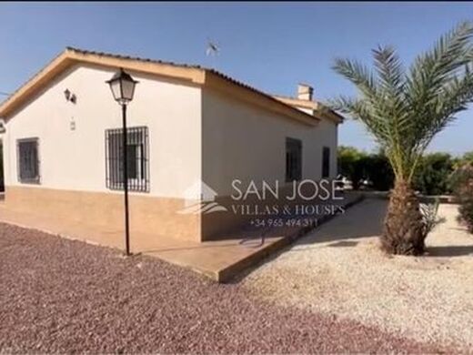 Maison de luxe à vendre à Crevillente, 450 000 €, Photo 2